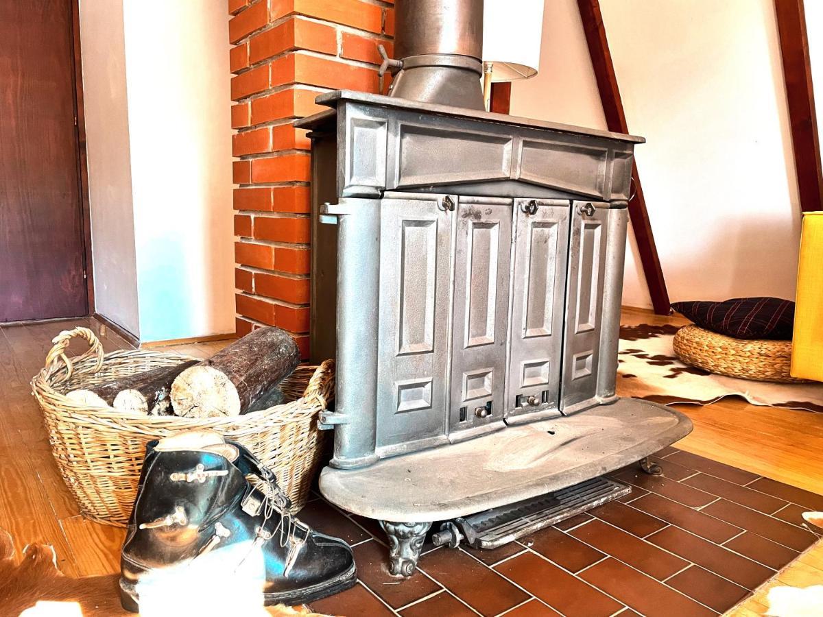 Kuca Na Kopaoniku - Rani Mraz Villa Kültér fotó